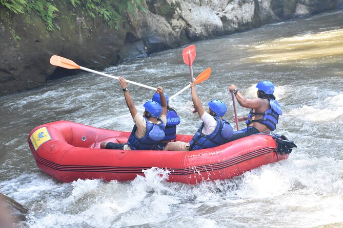 Best White Water Rafting & Lunch, Ubud - Rafting the Ayung River near Ubud
