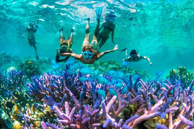 Bloo Lagoon Snorkeling East Bali Includes Transportation & Lunch - Why Blue Lagoon is worth the long ride