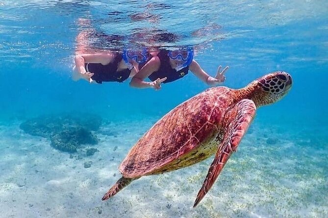 Bloo Lagoon Snorkeling East Bali Includes Transportation & Lunch - Getting into the water at Blue Lagoon Beach