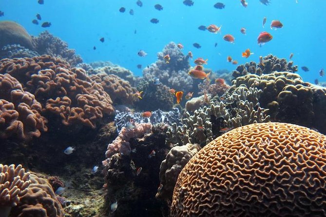 Bloo Lagoon Snorkeling East Bali Includes Transportation & Lunch - What the four-hour beach stop really includes