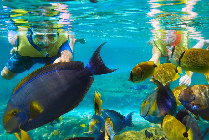 Bloo Lagoon Snorkeling East Bali Includes Transportation & Lunch - Adding Lempuyang Temple’s Gates of Heaven