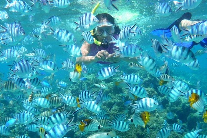Bloo Lagoon Snorkeling East Bali Includes Transportation & Lunch - What the drivers add to the experience