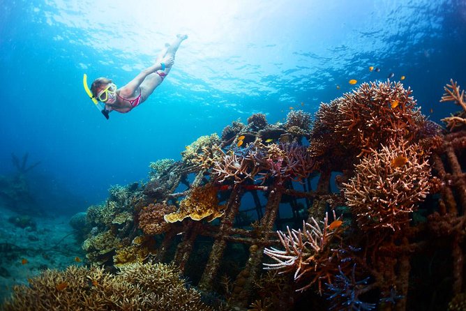 Bloo Lagoon Snorkeling East Bali Includes Transportation & Lunch - Is $82.50 a good price?