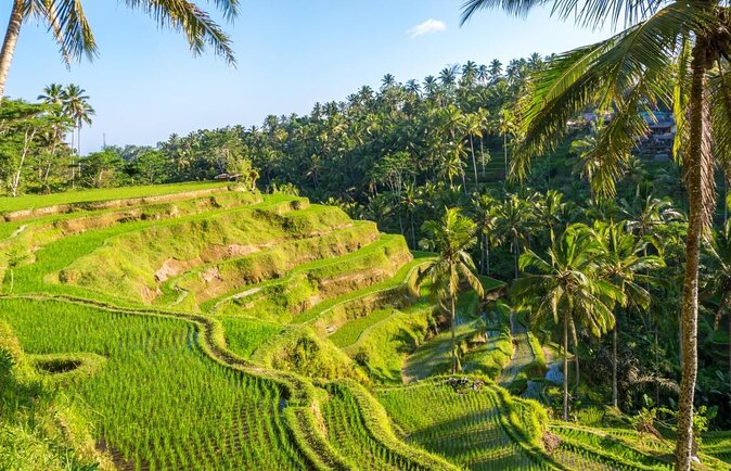 Blue Lagoon Bali Snorkeling Experience - Key points to know before booking