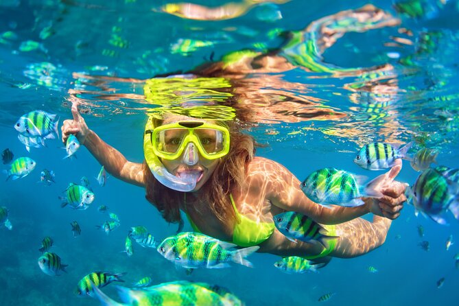 Blue Lagoon Bali Snorkeling Experience - From Ubud to Padangbai: why the long day matters