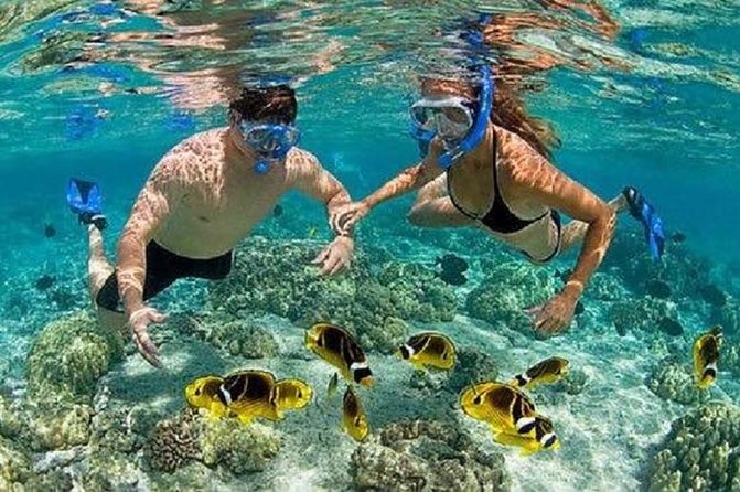 Blue Lagoon Snorkeling and Lunch - Kanto Lampo - Suwat Waterfall - All inclusive - Kanto Lampo Waterfall for photographs