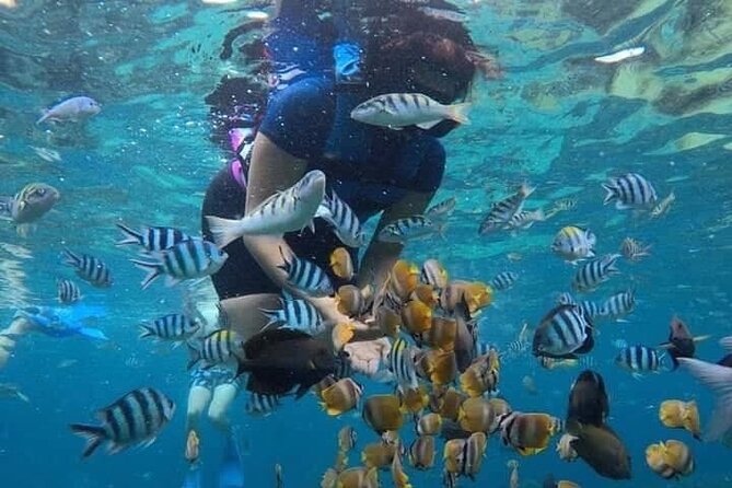 Blue Lagoon Snorkeling and Lunch - Kanto Lampo - Suwat Waterfall - All inclusive - The drive and the private format