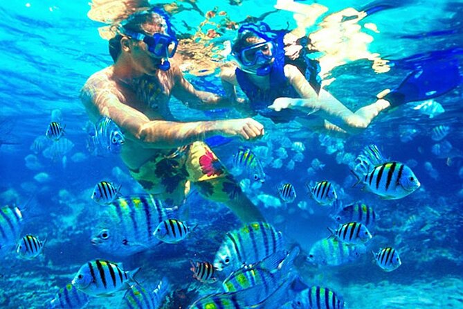 Blue Lagoon Snorkeling and Lunch - Ubud Monkey Forest - Waterfall - Ending at Ubud Monkey Forest