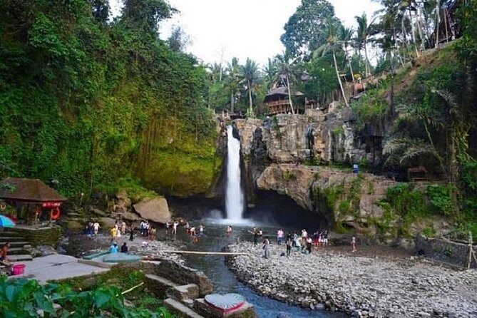 Blue Lagoon Snorkeling and Lunch - Ubud Monkey Forest - Waterfall - Who will get the most from this outing