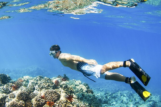 Blue Lagoon Snorkeling and Lunch - Ubud Monkey Forest - Waterfall - Shower, change, and lunch at Topi Inn