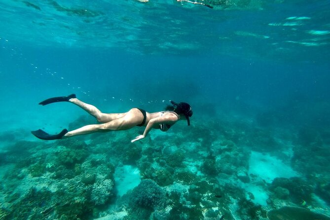 Blue Lagoon Snorkeling and Lunch with Tukad Cepung Waterfall - Two snorkeling stops in eastern Bali