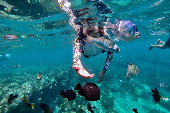 Blue Lagoon Snorkeling and Lunch with Tukad Cepung Waterfall - Who should book this Bali day tour