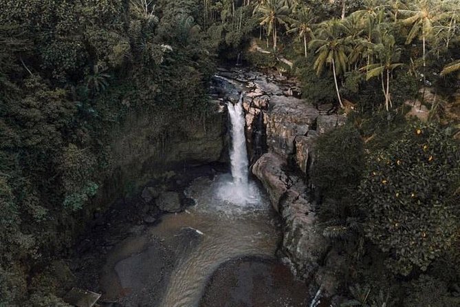 Blue Lagoon Snorkeling and Lunch with Visit Tegenungn Waterfall in Ubud - Why this private Blue Lagoon outing works well