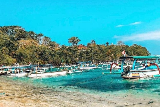 Blue Lagoon Snorkeling and Lunch with Visit Tegenungn Waterfall in Ubud - Who should book this Bali day tour
