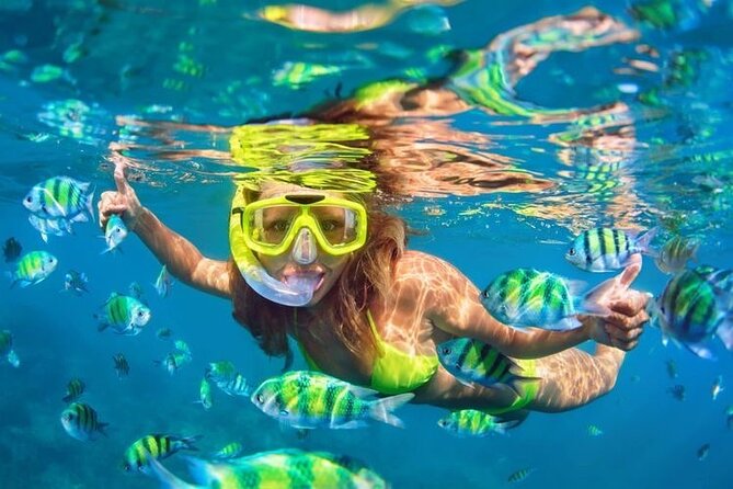 Blue Lagoon Snorkeling - Lunch - Kantolampo - Tibumana Waterfall - A private driver changes the feel of the day