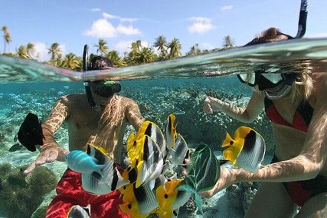 Blue Lagoon Snorkeling - Lunch - Kantolampo - Tibumana Waterfall - Tibumana brings a taller cascade and a shallow pool