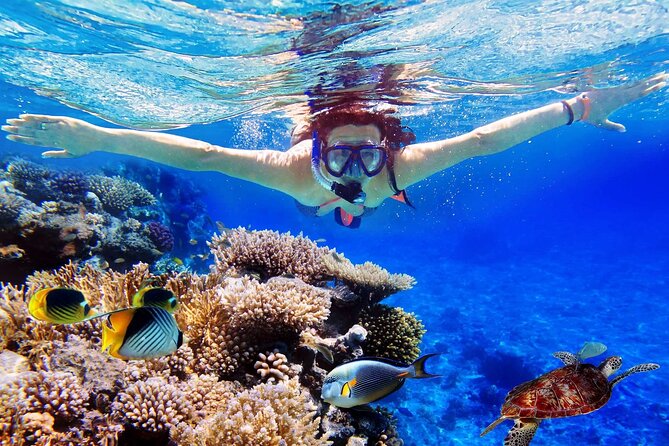 Blue Lagoon & Tanjung Jepun Snorkeling Private Tour - From Ubud to Padang Bai in a Private Car