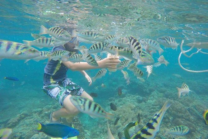 Blue Lagoon & Tanjung Jepun Snorkeling Private Tour - Who Will Get the Most From This Tour