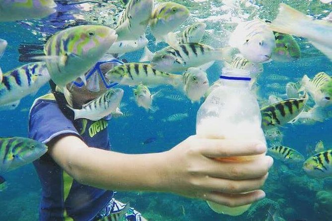 Blue Lagoon & Tanjung Jepun Snorkeling Private Tour - Simple Tips for a Better Snorkeling Day