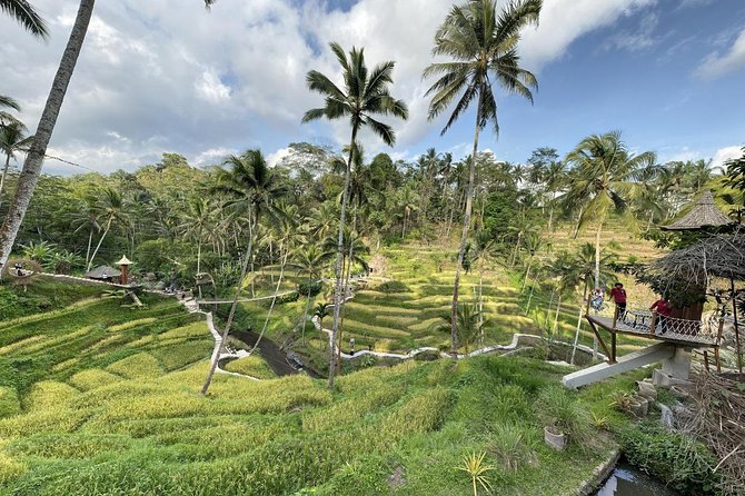 coconut wine and coffee safary tour - Should you book the Coconut Wine and Coffee Safari Tour?