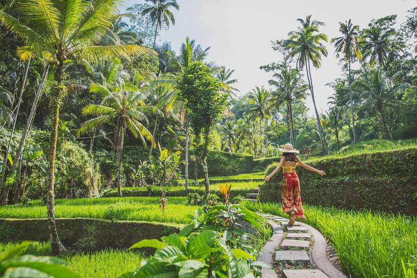 Cretya Ubud, Rice Terrace, Temple & Waterfall Day Tour - Bawa and Komang, the human side of the tour