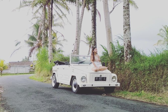 Daily VW Tour - Ubud VW Tour - How the $87.18 price measures up