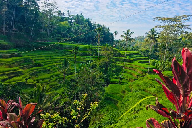 Day Tour with Sunrise and waterfall - Tegalalang is a brief final photo stop