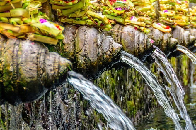 Discover Bali in 3 Days of Scenic and Cultural Delights - Day One: Rice Terraces, Holy Water, and Ubud Temples