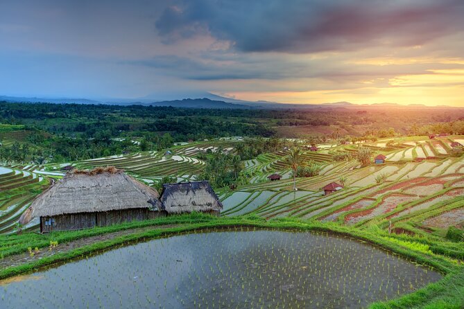Discover Hidden Waterfall, Unesco Rice Terraces and Mountain Temple - Three very different sides of Bali in eight hours