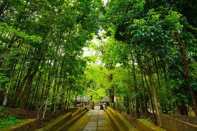 Discover Hidden Waterfall, Unesco Rice Terraces and Mountain Temple - Who should book this Ubud day trip?