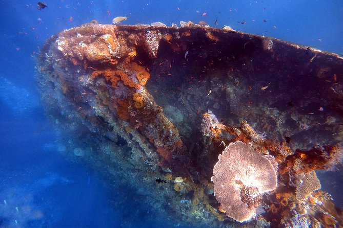 Discover Scuba Diving - Choosing between Coral Garden and the USAT Liberty