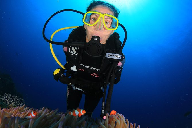 Discover Scuba Diving - Pickup, timing, and the Amed location