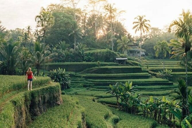 Discover The Best North of Bali with Private Guide Tour - Key points to know before booking