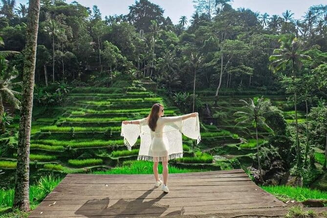 Discover The Best North of Bali with Private Guide Tour - Guide quality and the value of local knowledge