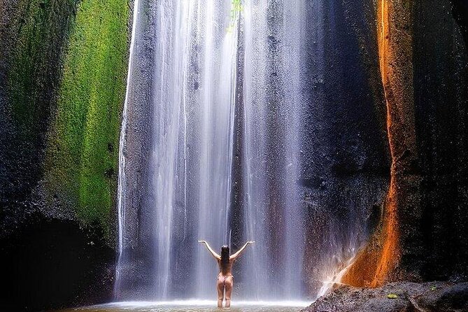 Discover the best waterfalls in Ubud and rice terraces tour - Why a private car is the right way to see these sights