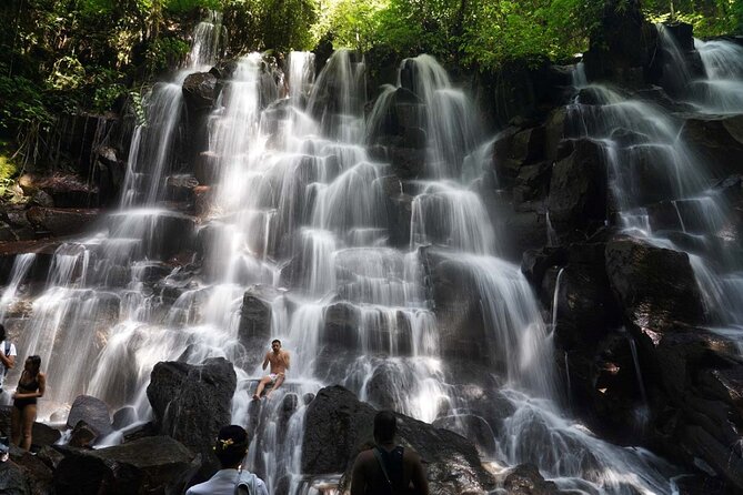Discover the best waterfalls in Ubud and rice terraces tour - Tegalalang Rice Terrace and the working countryside