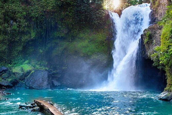 Discover Ubud: Exotism Ubud and Optional Meet the Bali Shaman - Why This Ubud Day Has More Character Than a Standard Sightseeing Loop