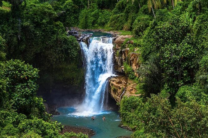 Discover Ubud: Exotism Ubud and Optional Meet the Bali Shaman - Tirta Empul: Sacred Springs and Temple Etiquette