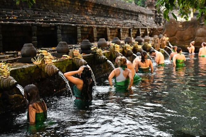 Discover Ubud: Exotism Ubud and Optional Meet the Bali Shaman - Who Will Get the Most From This Experience