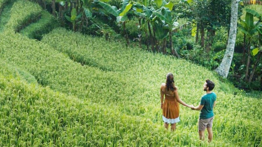 Discover Ubud: Tailored Private Tour with Top Highlight - Kintamani adds a volcano view, but changes the route