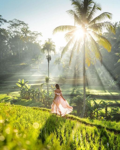 Discover Ubud: Tailored Private Tour with Top Highlight - Why the private format matters around Ubud