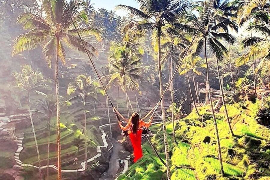 Discover Ubud: Tailored Private Tour with Top Highlight - Ubud town gives the day its cultural center