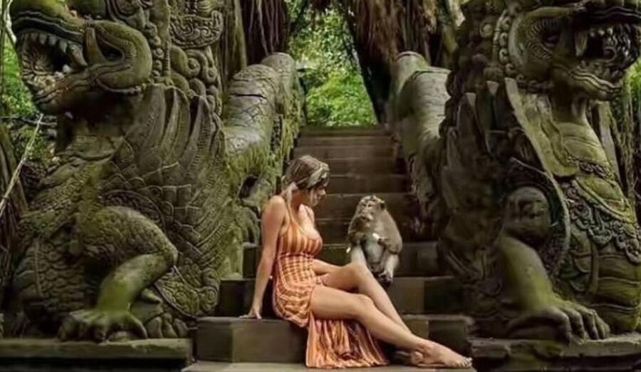 Discover Ubud: Tailored Private Tour with Top Highlight - Four waterfalls, four different reasons to choose them