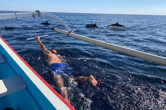 Dolphin Watching Tour, Swimming with Dolphins and Snorkeling - Weather, cancellations, and reliability