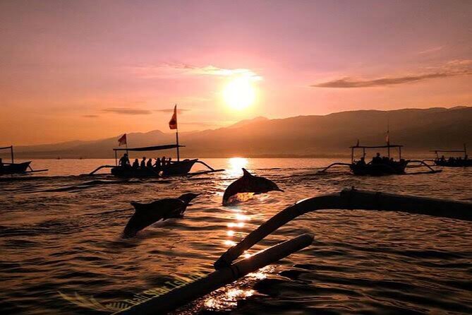 Dolphin Watching Tour, Swimming with Dolphins and Snorkeling - Swimming beside dolphins from the boat