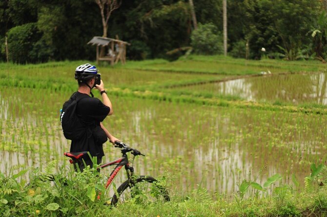 Downhill Cycling Ubud with Volcano, Rice Terrace and Educational - What the $25 price really covers
