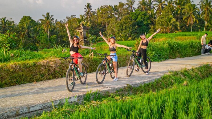 E-Bike: Ubud Rice Terraces & Traditional Villages Cycling - Why this ride gives you a better look at Ubud