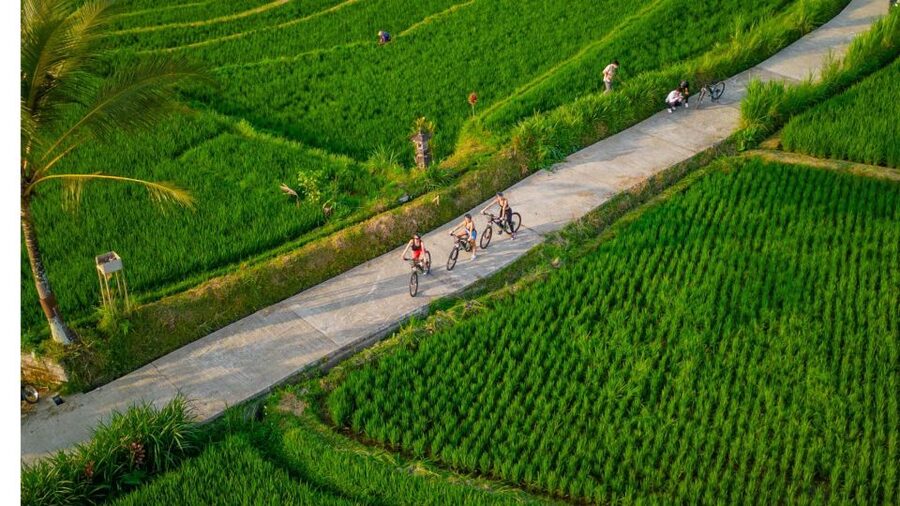 E-Bike: Ubud Rice Terraces & Traditional Villages Cycling - Is $25 a fair price?