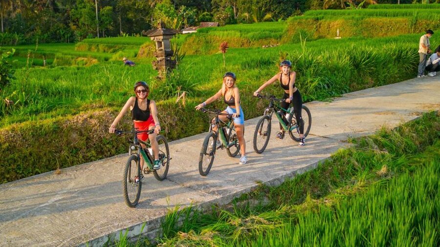 E-Bike: Ubud Rice Terraces & Traditional Villages Cycling - Who should book this Ubud bike tour?