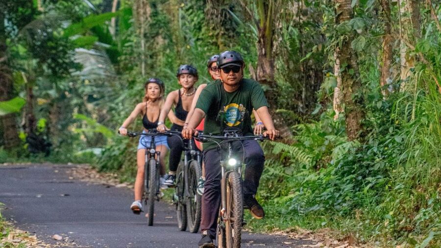 E-Bike: Ubud Rice Terraces & Traditional Villages Cycling - Final verdict: book it for culture, not speed
